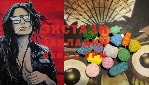 ECSTASY Богданович