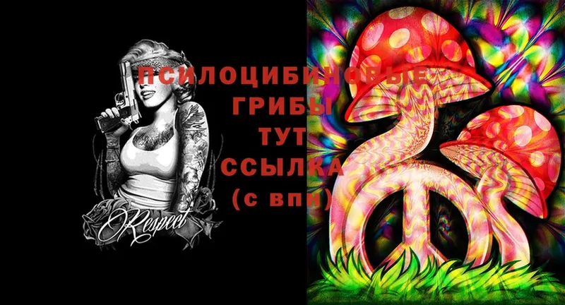 Галлюциногенные грибы MAGIC MUSHROOMS  Ступино 